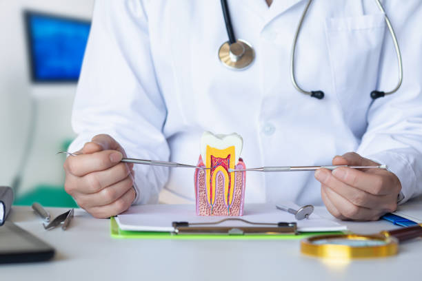 Best Pediatric Emergency Dentist in Omro, WI